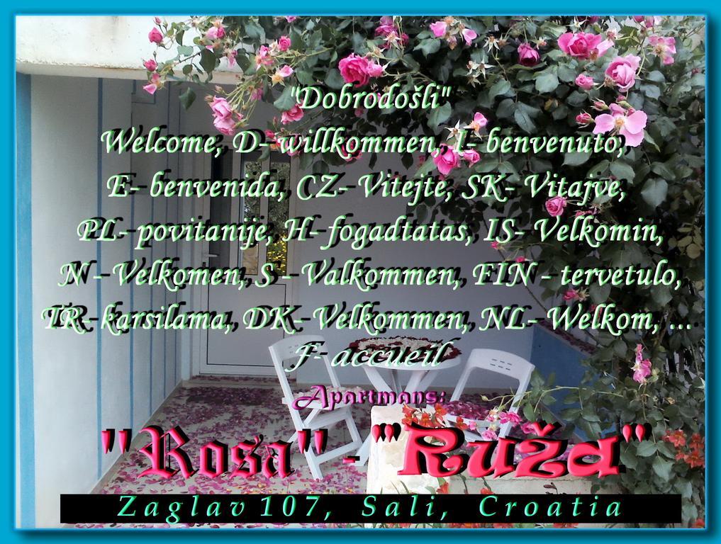 Apartment Ruza Sali Extérieur photo